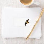 Étiquette Pêche au balbuzard (En situation)