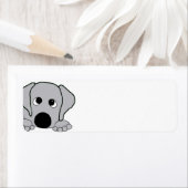 Étiquette peeking wimaraner gris (En situation)