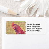 Étiquette Peint Petit Rouge Hen (En situation)