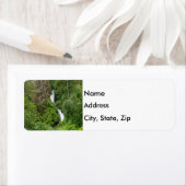 Étiquette Peinture de Thunderbird (En situation)