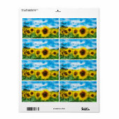 Étiquette Peinture de tournesols (Feuille entière)
