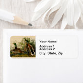 Étiquette Peinture d'oiseaux de Mallard Duck Audubon (En situation)