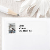 Étiquette Pélican (En situation)