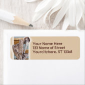 Étiquette Pélican (En situation)