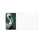 Étiquette Pélican (Devant)