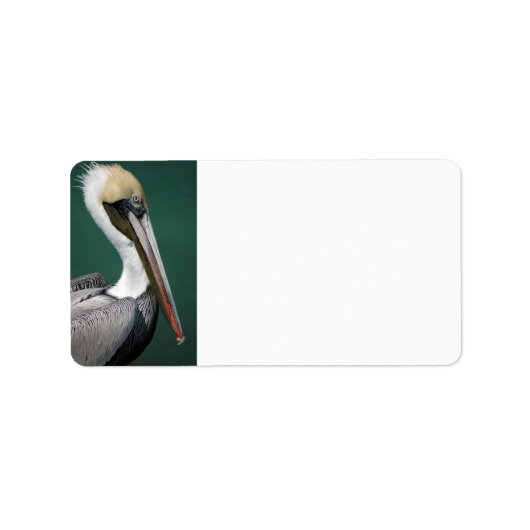 Étiquette Pélican (Devant)