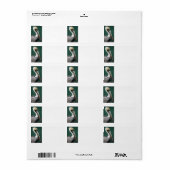 Étiquette Pélican (Feuille entière)