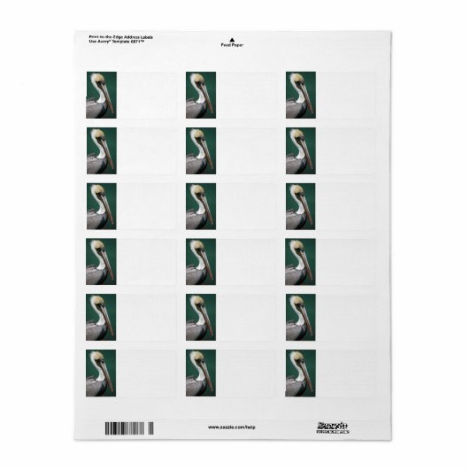 Étiquette Pélican (Feuille entière)