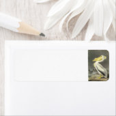 Étiquette Pélican blanc américain par Audubon (En situation)