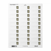 Étiquette Pélican blanc américain par Audubon (Feuille entière)