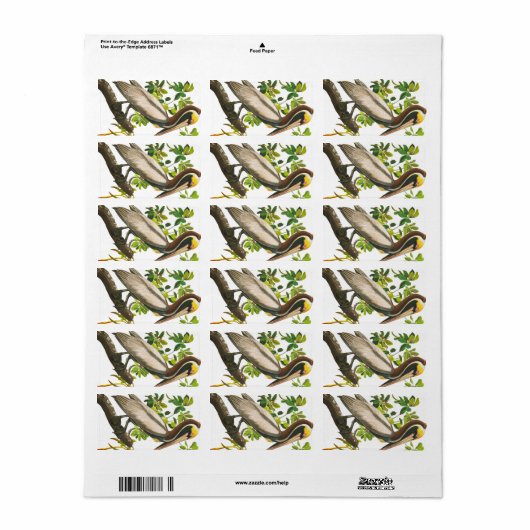 Étiquette Pélican Brown par John James Audubon (Feuille entière)