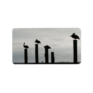 Étiquette pélicans sur la jetée