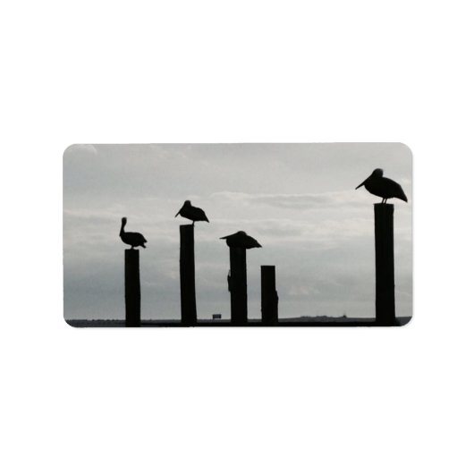 Étiquette pélicans sur la jetée (Devant)
