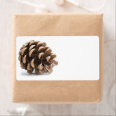 Étiquette Pénecone unique (En situation)