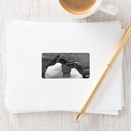 Étiquette Penguin Colour Splash (En situation)