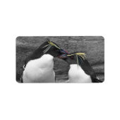 Étiquette Penguin Colour Splash (Devant)