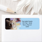 Étiquette Penny (En situation)