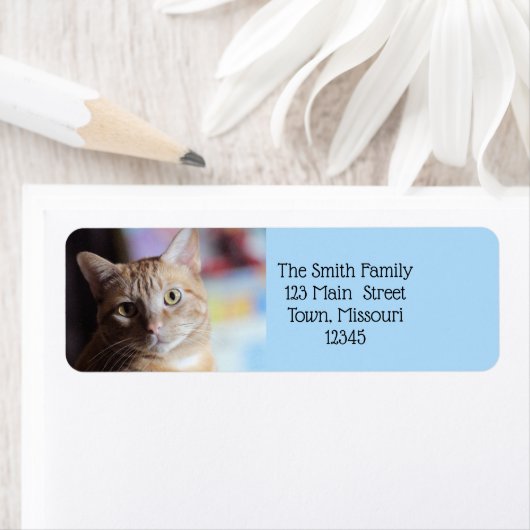 Étiquette Penny (En situation)