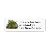 Étiquette Perroquet de Chouette verte Kakapo, Illustration d (Devant)