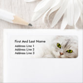 Étiquette Persan à l'ombre d'argent (En situation)