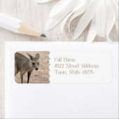 Étiquette Personnaliser (En situation)