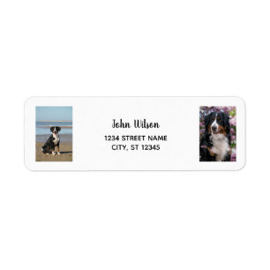 Étiquette Personnaliser 2 Photos avec Chien Moderne Adresse