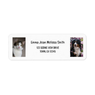Étiquette Personnaliser 2 Photos Chat Chien Adresse de Retou