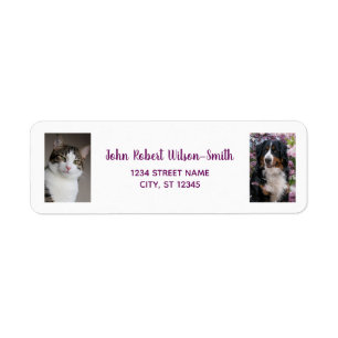 Étiquette Personnaliser 2 Photos Chat Chien moderne Adresse