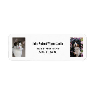 Étiquette Personnaliser 2 Photos Chat Chien moderne Adresse