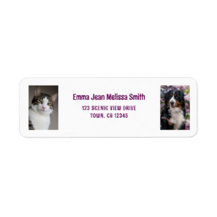 Étiquette Personnaliser 2 Photos Chat Chien moderne Adresse