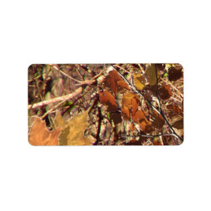 Étiquette Personnaliser de peinture de camouflage de Camo du