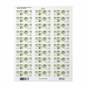 Étiquette Pétales verts (Feuille entière)