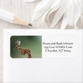 Étiquette Petit colibri orange (En situation)