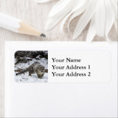 Étiquette Petit-déjeuner léopard des neiges (En situation)