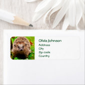 Étiquette Petit Hérisson mignon dans la forêt (En situation)