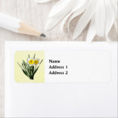 Étiquette Petit Narcisse Timide (En situation)