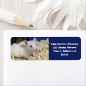 Étiquette Petit rat (En situation)