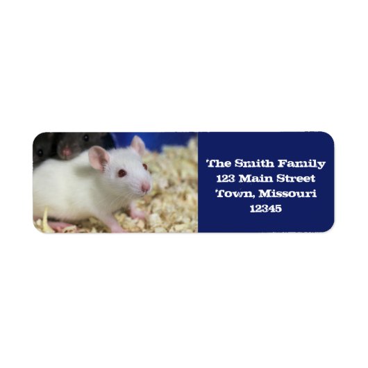 Étiquette Petit rat (Devant)