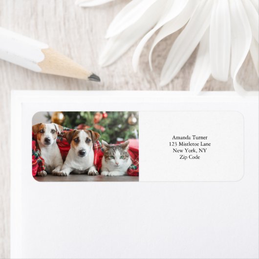 Étiquette Photo (En situation)