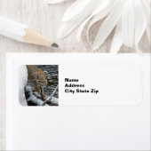 Étiquette Photo Bobcat Eau de neige (En situation)