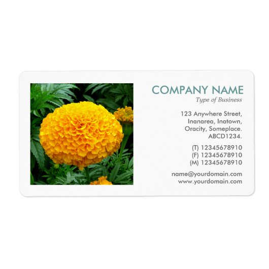 Étiquette Photo carré - Chrysanthemum (Devant)