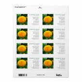 Étiquette Photo carré - Chrysanthemum (Feuille entière)