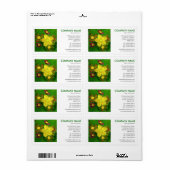 Étiquette Photo carré - Hypericum perforatum (Feuille entière)