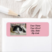 Étiquette Photo Cat (En situation)