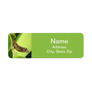 Étiquette Photo d'animal reptile mignon Gecko marron