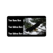 Étiquette Photo de Bald Eagle (Devant)