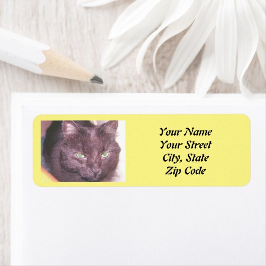 Étiquette Photo de chat (En situation)