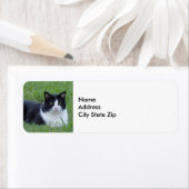 Étiquette Photo de chat en noir et blanc (En situation)