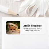 Étiquette Photo de Cute Little Orange Fox (En situation)