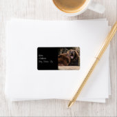 Étiquette Photo de l'ours Brown (En situation)